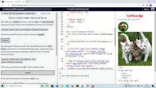 Bootstrap Tutorial 5 - button as block element using btn-block class