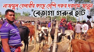 নাজমুল বেপারীর কাছে দেশি গরুর দরদাম জানুন | বেতাগা গরুর হাট | Ep82 | Gorur Haat BD