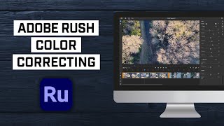 How to Color Correct Video in Adobe Rush