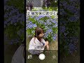 【必見】紫陽花を使って素敵な写真を撮影する方法！ shorts