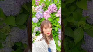 【必見】紫陽花を使って素敵な写真を撮影する方法！#Shorts