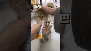 猫奴十三 你家猫如果一摸，就向后躲，这3步脱敏训练一定要学起来！ #新手养猫  #猫咪  #科学养宠攻略 懂喵的YOTA