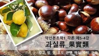 약선본초학-1_각론_제5-4강_과실류  망고, 밤, 잣, 호도, 은행, 매실, 수박, 모과