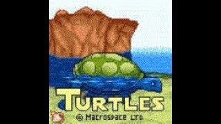 "Turtles" - Macrospace 2002 year (Java Game)