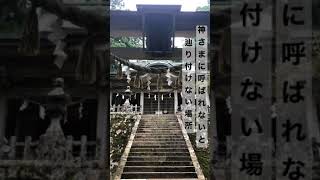 玉置神社の本物の力⚠️神さまに呼ばれないと辿りつけない神社#shorts @パワースポット一人旅