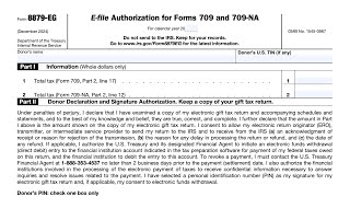 IRS Form 8879-EG walkthrough (E-file Authorization for Forms 709 and 709-NA)