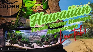 Hawaiian Inspired Fresh Water Biotope Aquascape #aquarium #aquascape #biotopeaquarium #fish