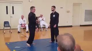 Kyoshi Peter Polander Okinawan Kempo Atemi Jutsu