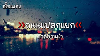 [เนื้อเพลง] ถนนแปลกแยก - มาลีฮวนน่า