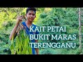 KAIT BUAH PETAI BUKIT MARAS