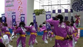 博多どんたく【ふくこい踊り隊】福岡城会場