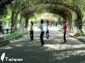 Besame Mucho - Line Dance(Beginner)(Muki Matohir Royal)