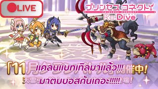 🔴 Live (Princess Connect Re:dive JP/TH) แคลนแบทเทิลมาแล้วมาตบบอสกันเถอะ!!!+ฟามเซิฟไทย วันที่2/22