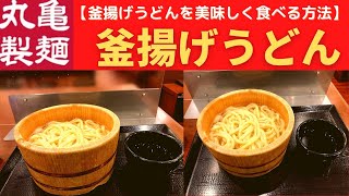 【世界一面白い食レポ】丸亀製麺 釜揚げうどん【グルメマスター伝授！丸亀製麺 釜揚げうどんを美味しく食べる8つの方法】