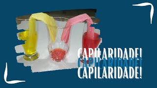 CAPILARIDADE (EXPERIMENTO) - CCC