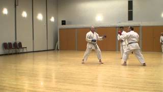 Kumite and jiyu ippon kumite 2