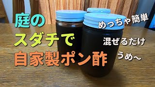 【手作り】庭のスダチでポン酢を作る（簡単すぎる～）