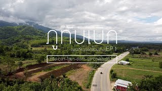 #ภูทับเบิก #เที่ยวนอกสวนEP-1  อยากไปดูทะเลหมอกที่ภูทับเบิก