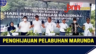 Peringati Hari Perhubungan Nasional, KCN Tanam Mangrove di Pelabuhan Marunda