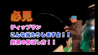 釣果の伸ばし方！！ティップランエギング#エギング #山口県