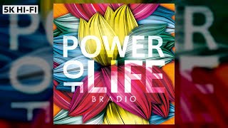 【 BRADIO 】「Chocolate Flavor」🢒「POWER OF LIFE」