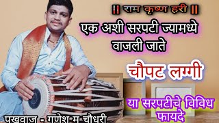 एक अशी सरपटी . की ज्यामधून चौपट लग्गी  वाजल्या जाते . विविध फायदे . गणेश म चौधरी . #ganesh_m