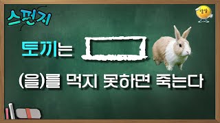 [스펀지 레전드 ＃80] 토끼가 먹지 못하면 죽는 이것?!  이걸 먹는다니 토끼 너 비위가 상당하구나.. (⊙_⊙)？ | KBS 200403272 방송