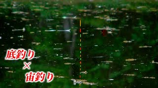 【野池】底釣りから宙釣りへ。へらぶな釣り