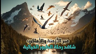 اكتشف أنواع وأسماء الطيور المهاجرة وأسباب هجرتها