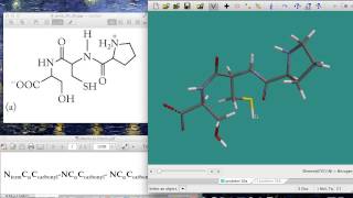 Computational video 0 - Identifying R-groups of a peptide