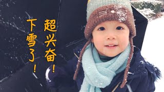 北京大雪，Argo雪地里玩疯了，还堆了雪兔子！ Beijing Vlog