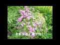 人生時計 　 オリジナル演歌、歌謡曲）作詞、作曲、歌　 s takeuchi