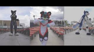 Furocity Dance Reel BLFC18