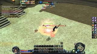 Aion 2.7 private serveur lvl 55 Gladiator vs lvl 55 Templar GM's duel with very low latency round 2