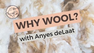 Why Wool (2024 Update)