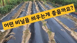 주말농장  \