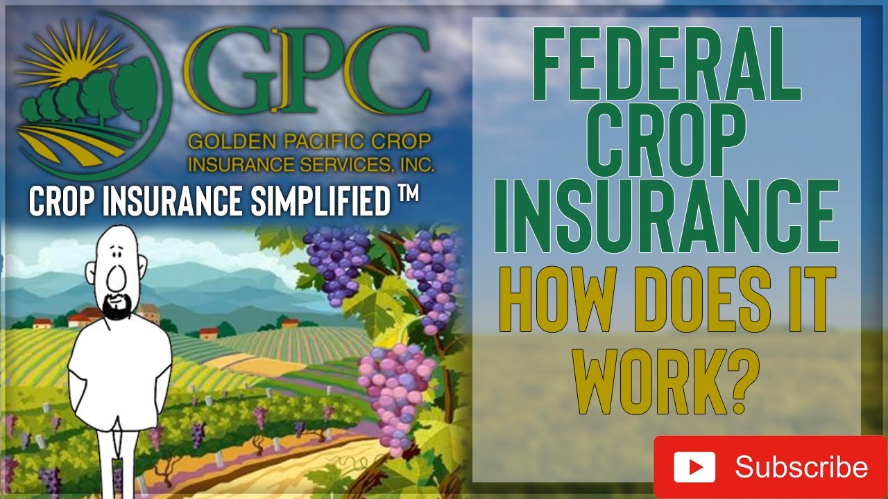 How Does Federal Crop Insurance Work (MPCI)? | Golden Pacific Crop ...