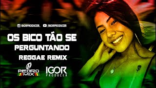 REGGAE FUNK REMIX 2023 - OS BICO TÃO SE PERGUNTANDO - MC PH @igorproducer \u0026 @djpedromixofc