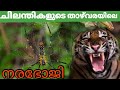 ചിലന്തികളുടെ താഴ്‌വരയിലെ നരഭോജി| Hunting Story| Malayalam|An Old Hunter's Tale Malayalam Explanation