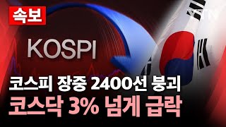 [속보] 코스피 장중 2400선 붕괴…코스닥 3% 넘게 급락 / YTN