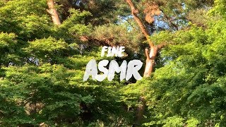 조용한 동네 소리(집중할 때 좋은 백색소음)ㅣCalm ASMR, White Noise