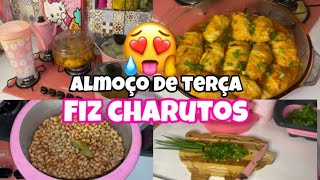 1º almocinho do canal/fiz charutos de repolho 😍😍