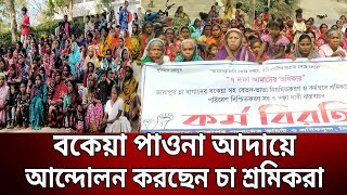 বকেয়া পাওনা আদায়ে আন্দোলন করছেন চা শ্রমিকরা | Bangla News | Mytv News