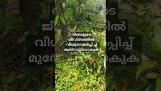 മനസ്സിലാക്കി ചേർത്ത് പിടിക്കാൻ ആരുമില്ലെങ്കിലും#retnam  World#