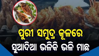 କିଏ ଖାଇବେ ସୁଆଦିଆ ମାଛ କଙ୍କଡା ଭଳିକି ଭଳି ମିଳୁଛି VeryTesti || Fish | Item | AMS ODISHA