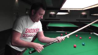 Peradon Century Snooker Cue