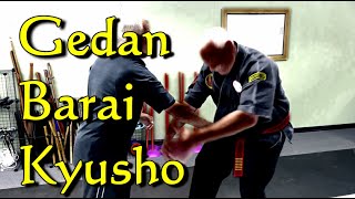 Gedan Barai Kyusho