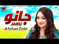 Ik Pal - Afshan Zaibe - Latest Punjabi And Saraiki Song