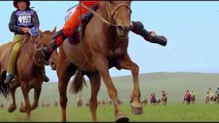 Tamgand munhursun mongol naadam