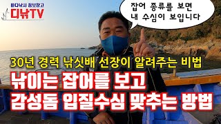 낚이는 잡어를 보고 감성돔 입질수심 맞추는 방법 - 30년 경력 선장이 알려주는 비법 [디낚TV]